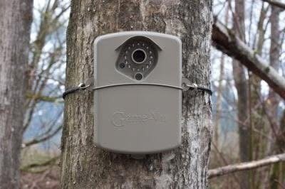 Cameras are everywhere now. Why has there not been a good photo or video recorded?